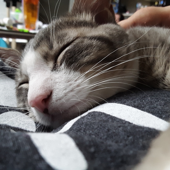 Meet your Posher, Kelly - Picture 2 of 3